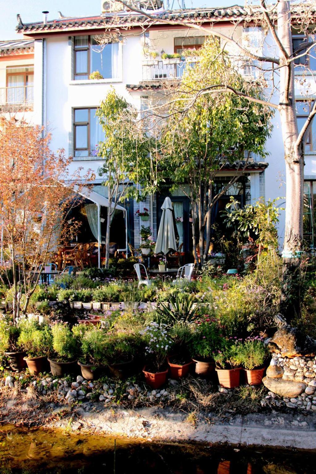 La Maison Du Laoshay Lijiang Λιγιάνγκ Εξωτερικό φωτογραφία